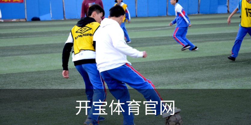 开宝体育官网概况